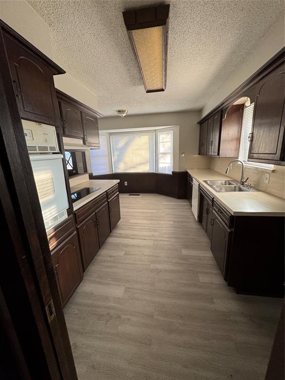 kitchen featuring black electric stovetop, dark brown cabinetry, light hardwood / wood-style floors, and sink