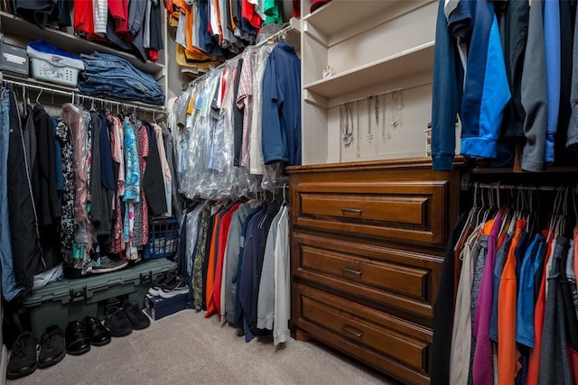 spacious closet with carpet floors