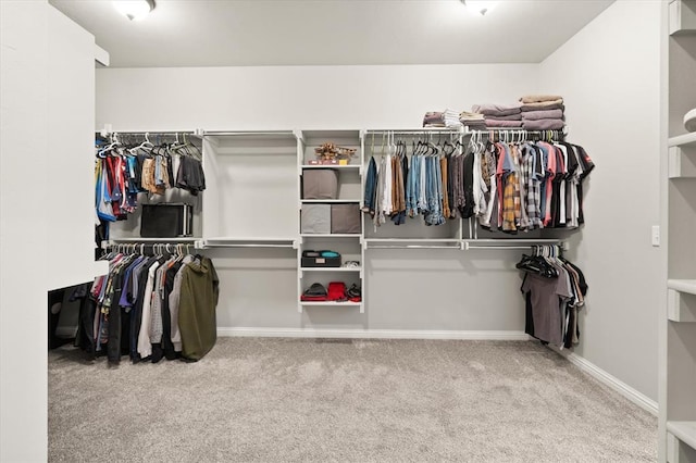 spacious closet with light carpet