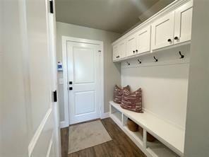 mudroom with dark hardwood / wood-style floors