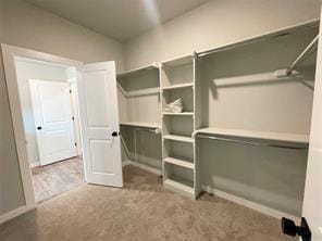 spacious closet with carpet flooring