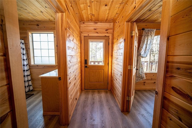 entryway with dark wood-type flooring, wooden walls, and wood ceiling