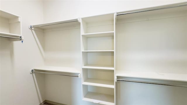 view of spacious closet