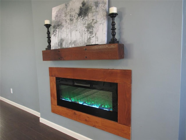 details featuring wood finished floors, baseboards, and a glass covered fireplace