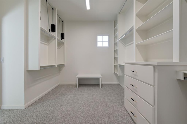 walk in closet featuring light carpet