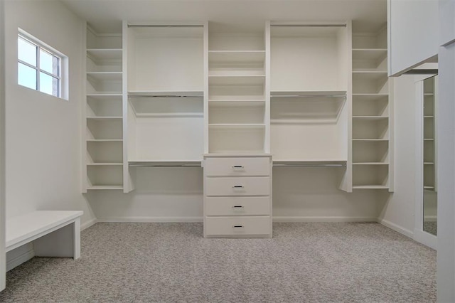 2270 NW 227th St, Edmond, OK 73025 - spacious closet with carpet floors