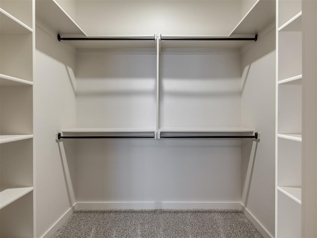 spacious closet featuring carpet floors