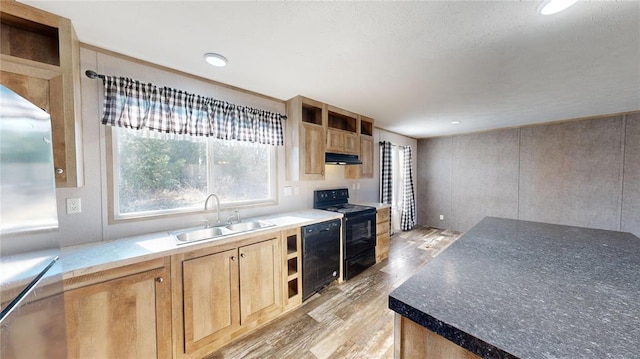 kitchen featuring sink, light hardwood / wood-style flooring, and black appliances