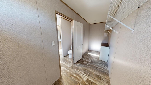 corridor featuring crown molding and hardwood / wood-style flooring