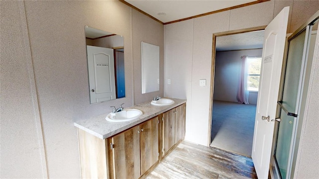 bathroom featuring vanity, wood-type flooring, and walk in shower