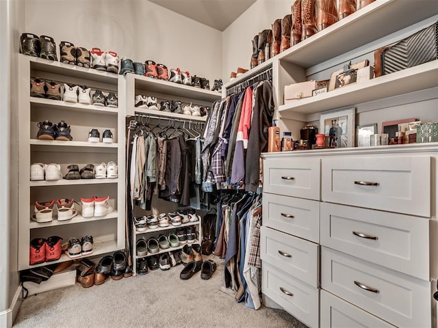 spacious closet featuring carpet