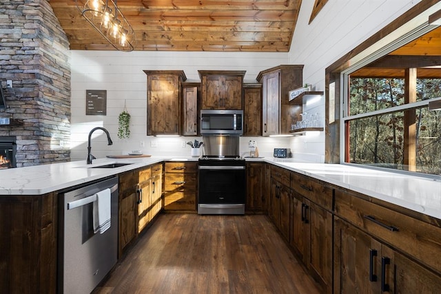 kitchen featuring lofted ceiling, dark wood-type flooring, wooden ceiling, sink, and stainless steel appliances