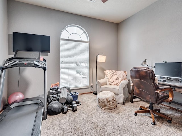 view of carpeted home office