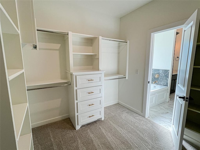 spacious closet with light colored carpet