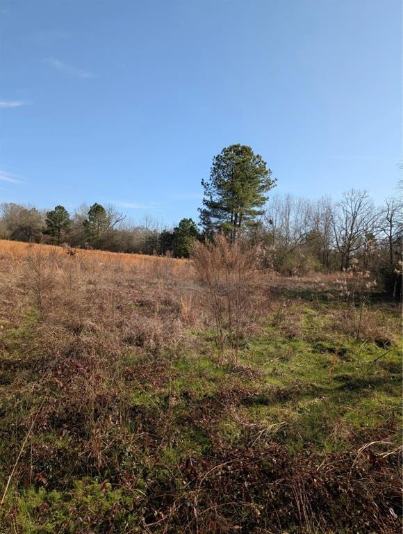000 Mudline Ct, Eagletown, OK 74734 - photo 2