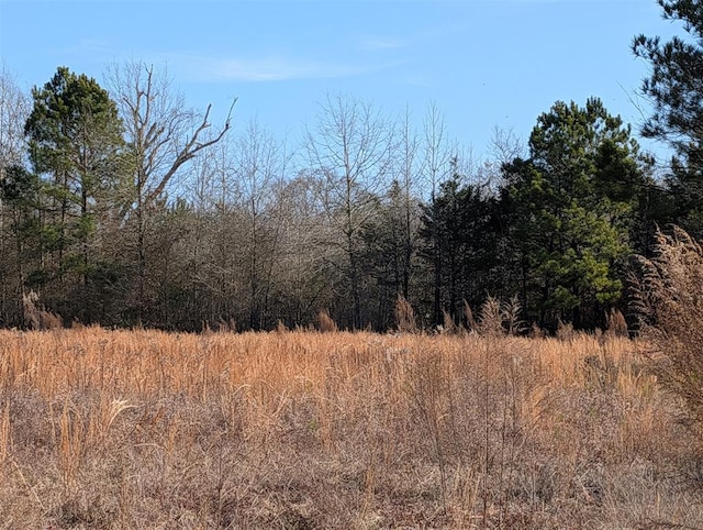 000 Mudline Ct, Eagletown, OK 74734 - photo 3