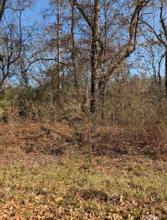 000 Mudline Ct, Eagletown, OK 74734 - photo 6