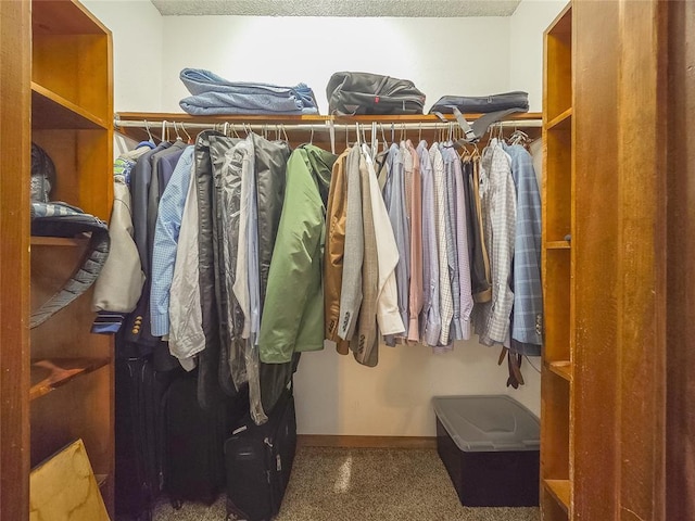 walk in closet featuring carpet flooring