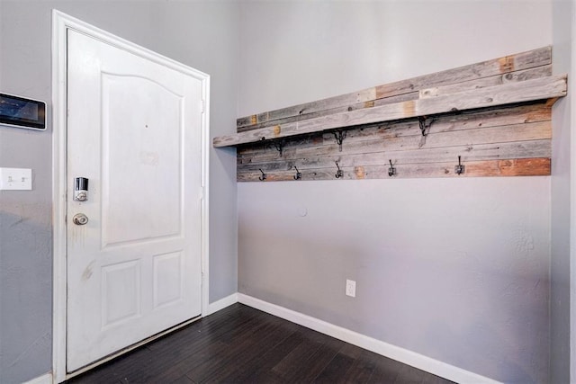 mudroom featuring dark hardwood / wood-style flooring