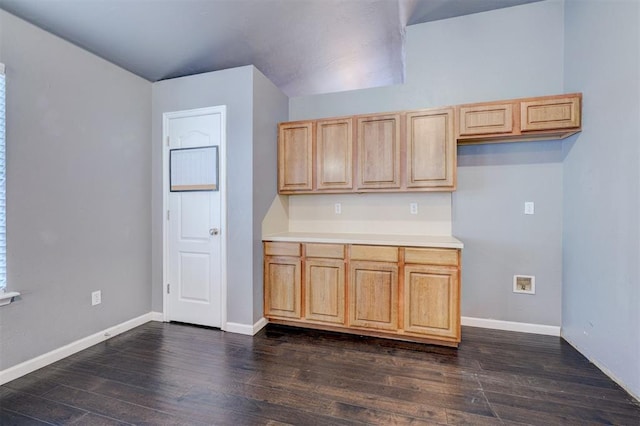 kitchen featuring light brown cabinets and dark hardwood / wood-style floors