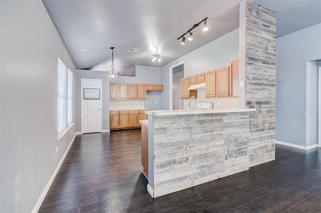 kitchen featuring dark hardwood / wood-style flooring, light brown cabinetry, and kitchen peninsula