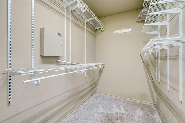 spacious closet with carpet floors