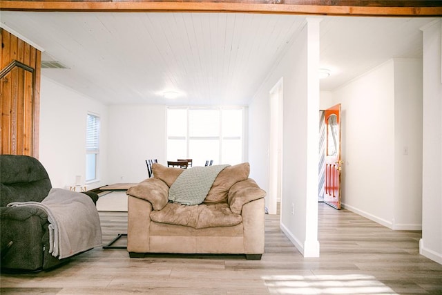 living room with light hardwood / wood-style floors