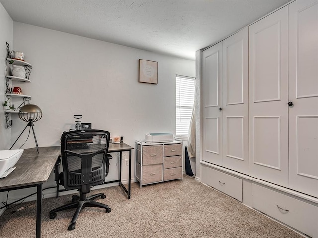 office area with light carpet