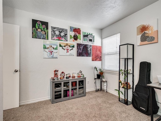 interior space with a textured ceiling and carpet flooring