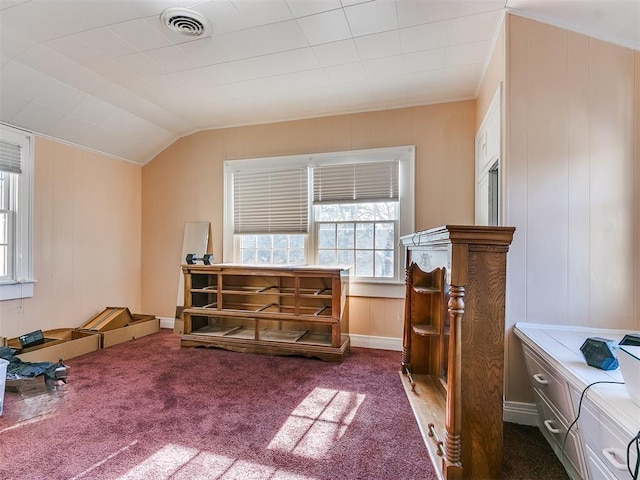 interior space featuring carpet floors and vaulted ceiling