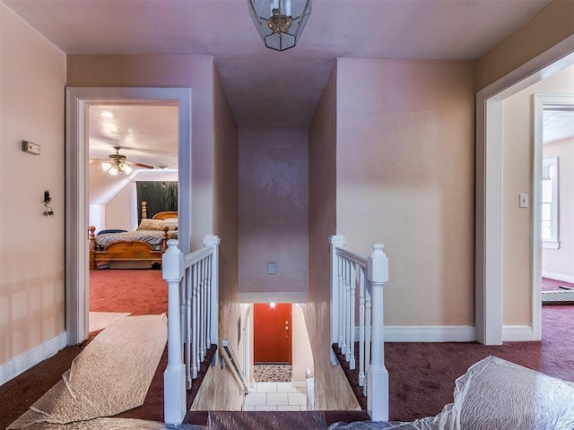 stairway with carpet floors