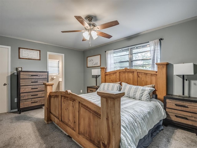 carpeted bedroom with multiple windows, ceiling fan, and crown molding