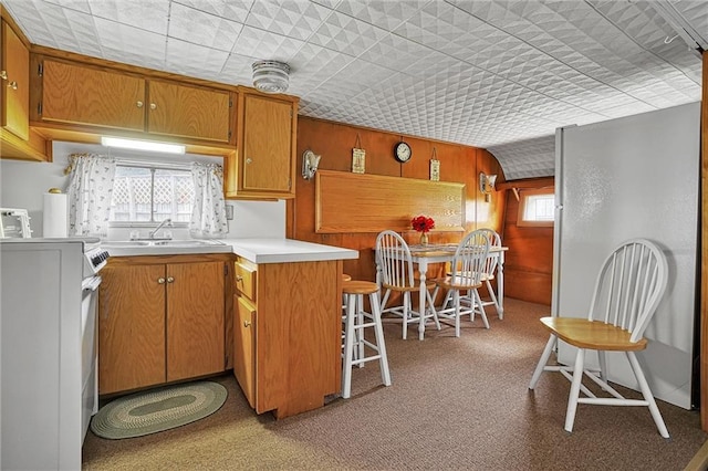 kitchen featuring light carpet, vaulted ceiling, wood walls, and sink