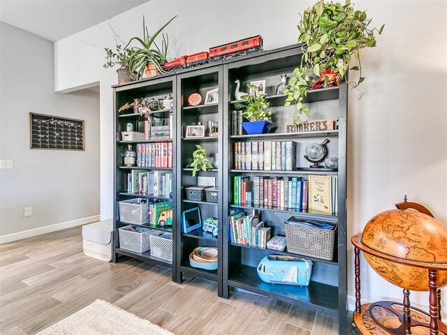 sitting room with hardwood / wood-style floors