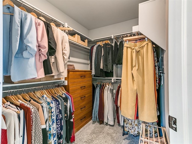 walk in closet with light colored carpet