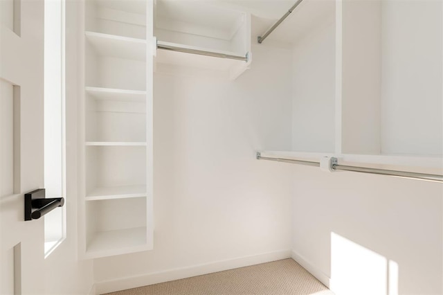 spacious closet with carpet floors