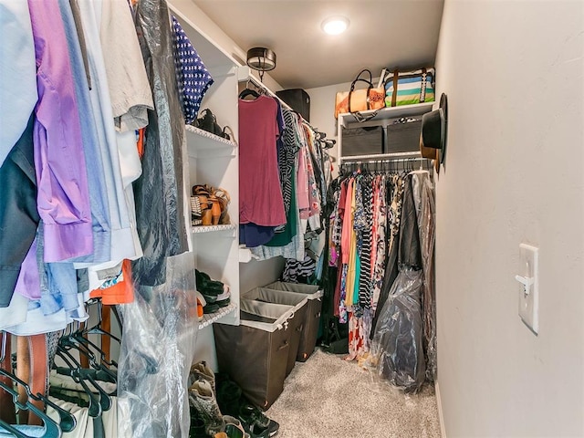 walk in closet featuring carpet