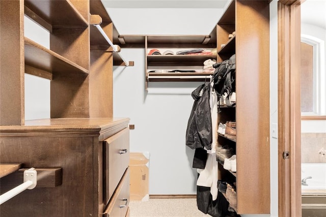 walk in closet with light carpet