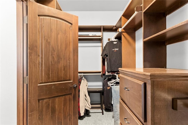 walk in closet with light colored carpet