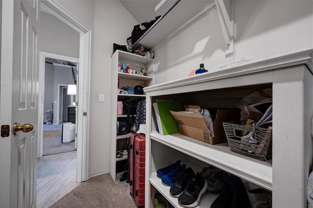 spacious closet with light colored carpet