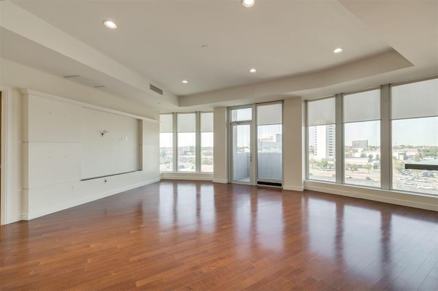 spare room featuring a raised ceiling, plenty of natural light, and dark wood-type flooring