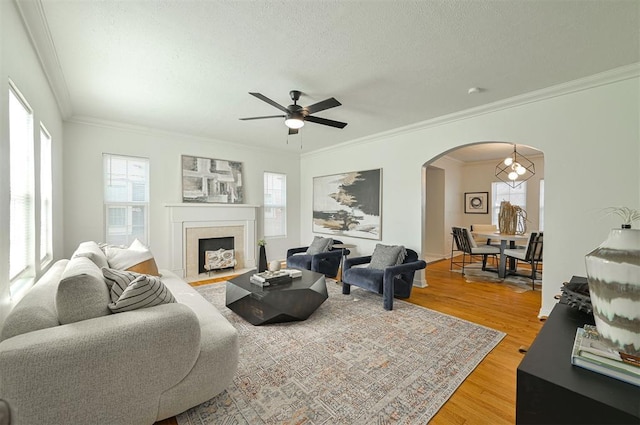 living room with hardwood / wood-style floors, ceiling fan, crown molding, and a textured ceiling