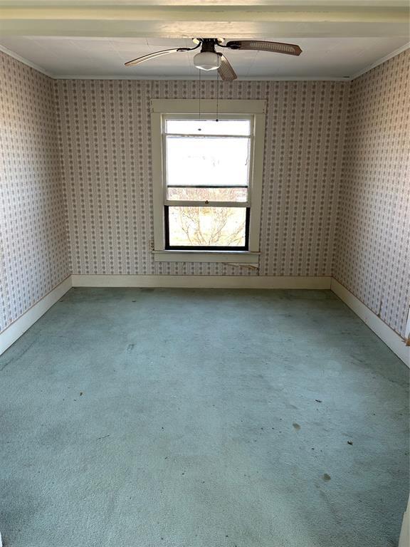 carpeted empty room featuring ceiling fan and crown molding