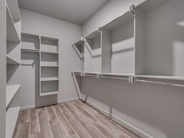 spacious closet featuring light hardwood / wood-style flooring