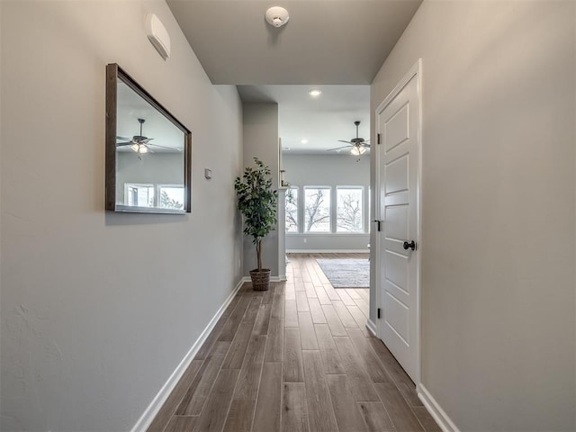 hallway featuring hardwood / wood-style flooring