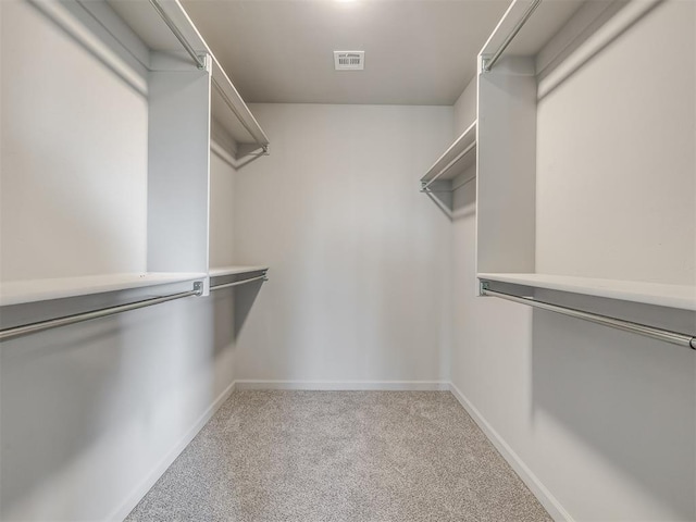 spacious closet with light colored carpet