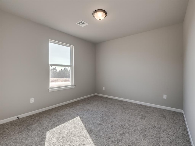 spare room with carpet floors