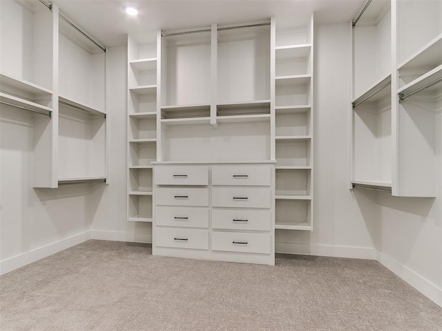 spacious closet with carpet floors