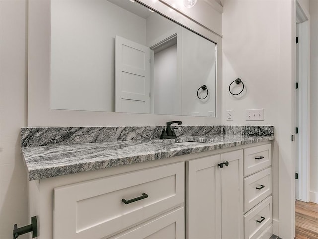 bathroom featuring wood finished floors and vanity