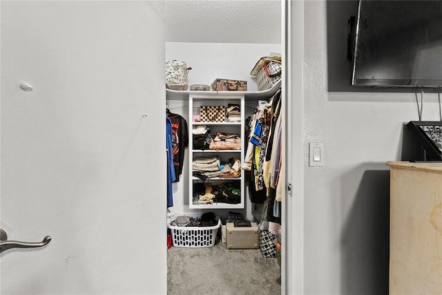 walk in closet with carpet flooring